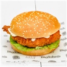 Spicy Southern Fried Chicken Burger